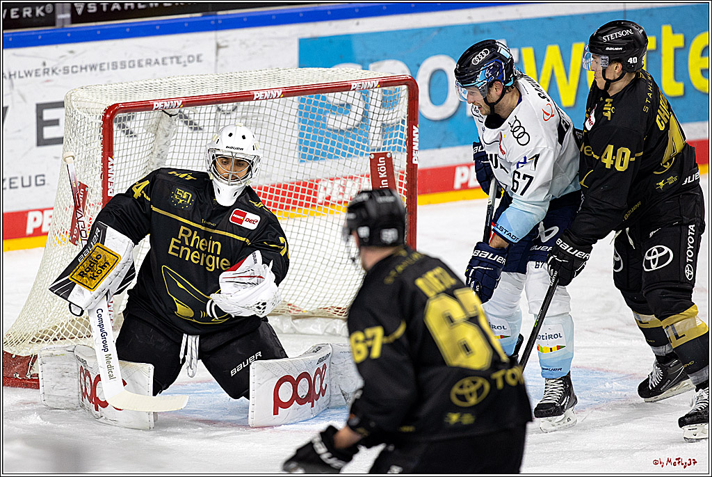 PENNY DEL;  Kölner Haie - ERC Ingolstadt; Köln, 25.11.2022